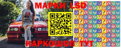 гидропоника Можайск