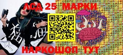 гидропоника Можайск