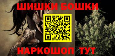 индика Можга