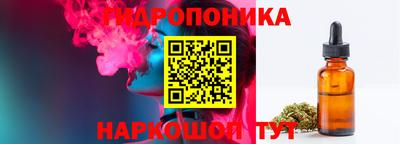индика Можга