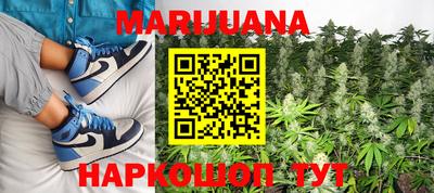 индика Можга