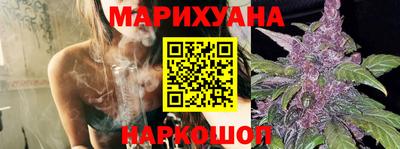 гидра Моздок