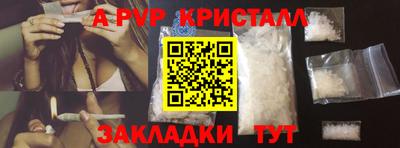 индика Можга