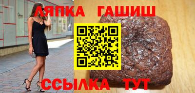 индика Можга