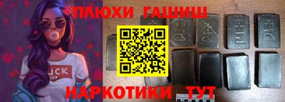 индика Можга