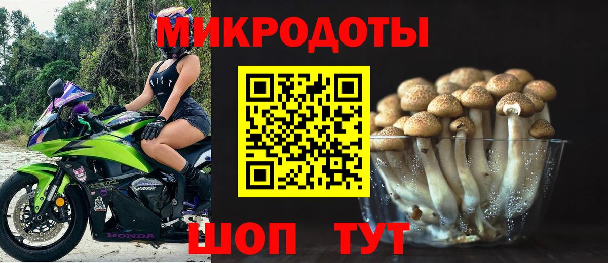 Псилоцибиновые грибы мицелий  Вход с VPN  Вольск  Галлюциногенные грибы GOLDEN TEACHER 